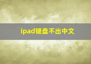 ipad键盘不出中文