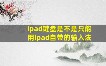 ipad键盘是不是只能用ipad自带的输入法