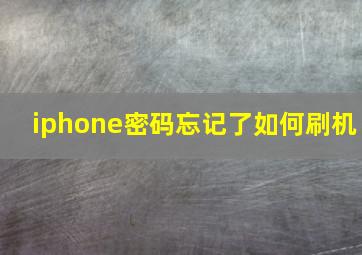 iphone密码忘记了如何刷机