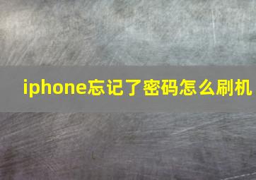 iphone忘记了密码怎么刷机