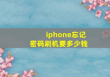 iphone忘记密码刷机要多少钱