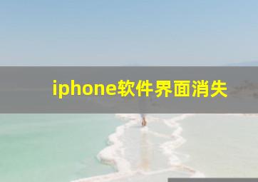 iphone软件界面消失