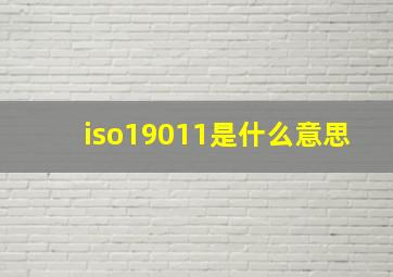 iso19011是什么意思