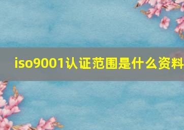 iso9001认证范围是什么资料