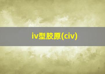 iv型胶原(civ)