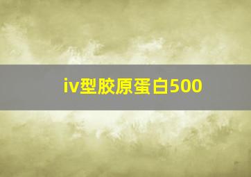 iv型胶原蛋白500