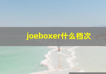 joeboxer什么档次