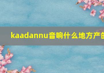 kaadannu音响什么地方产的