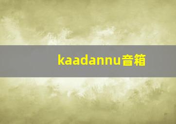 kaadannu音箱