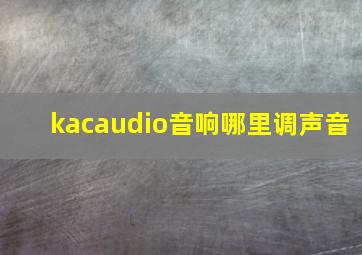 kacaudio音响哪里调声音