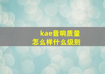 kae音响质量怎么样什么级别