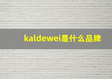 kaldewei是什么品牌