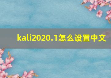 kali2020.1怎么设置中文