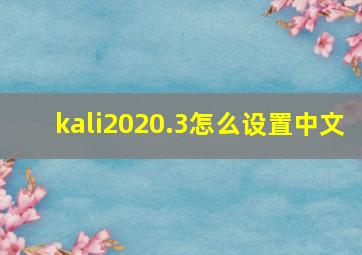 kali2020.3怎么设置中文