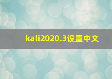 kali2020.3设置中文