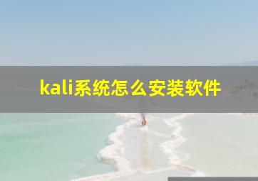 kali系统怎么安装软件