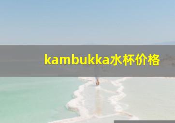 kambukka水杯价格