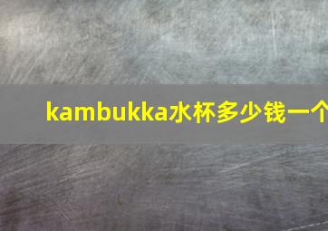 kambukka水杯多少钱一个