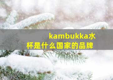 kambukka水杯是什么国家的品牌