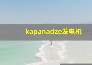 kapanadze发电机