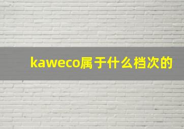 kaweco属于什么档次的