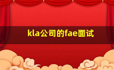 kla公司的fae面试