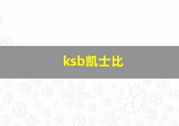 ksb凯士比