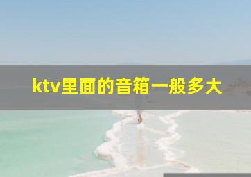 ktv里面的音箱一般多大