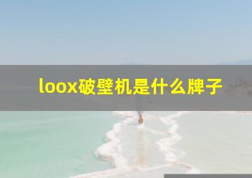 loox破壁机是什么牌子