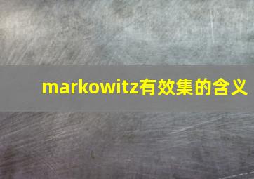 markowitz有效集的含义