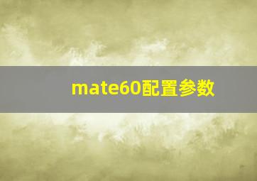 mate60配置参数