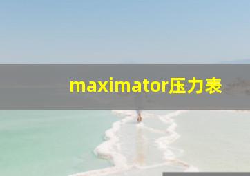 maximator压力表