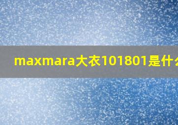 maxmara大衣101801是什么意思