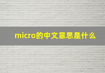 micro的中文意思是什么