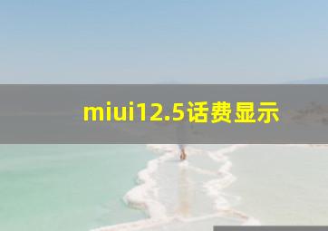 miui12.5话费显示