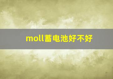 moll蓄电池好不好