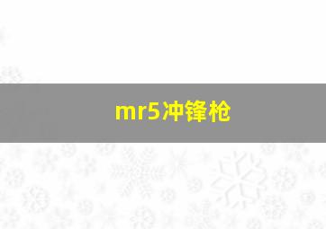 mr5冲锋枪