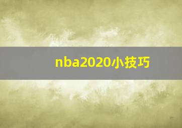 nba2020小技巧