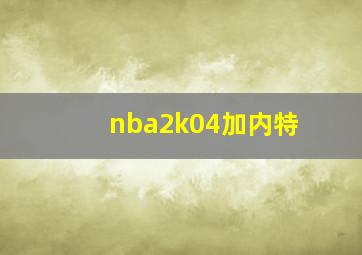 nba2k04加内特