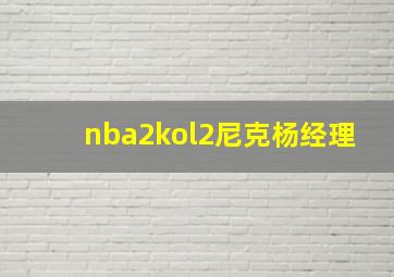 nba2kol2尼克杨经理