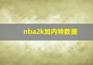 nba2k加内特数据