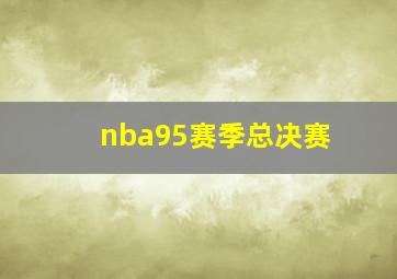 nba95赛季总决赛