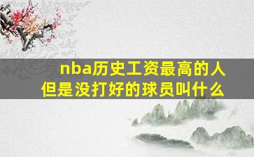 nba历史工资最高的人但是没打好的球员叫什么