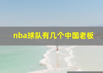 nba球队有几个中国老板