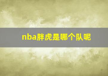 nba胖虎是哪个队呢