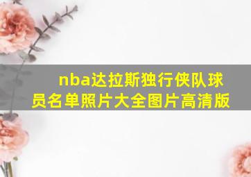 nba达拉斯独行侠队球员名单照片大全图片高清版