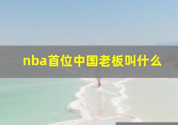 nba首位中国老板叫什么