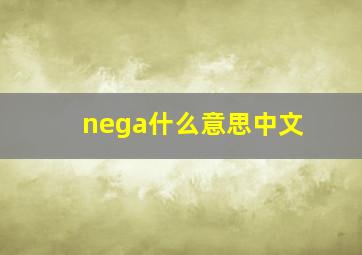 nega什么意思中文