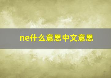 ne什么意思中文意思