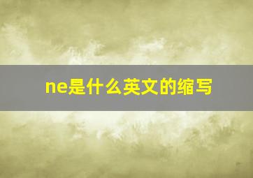 ne是什么英文的缩写